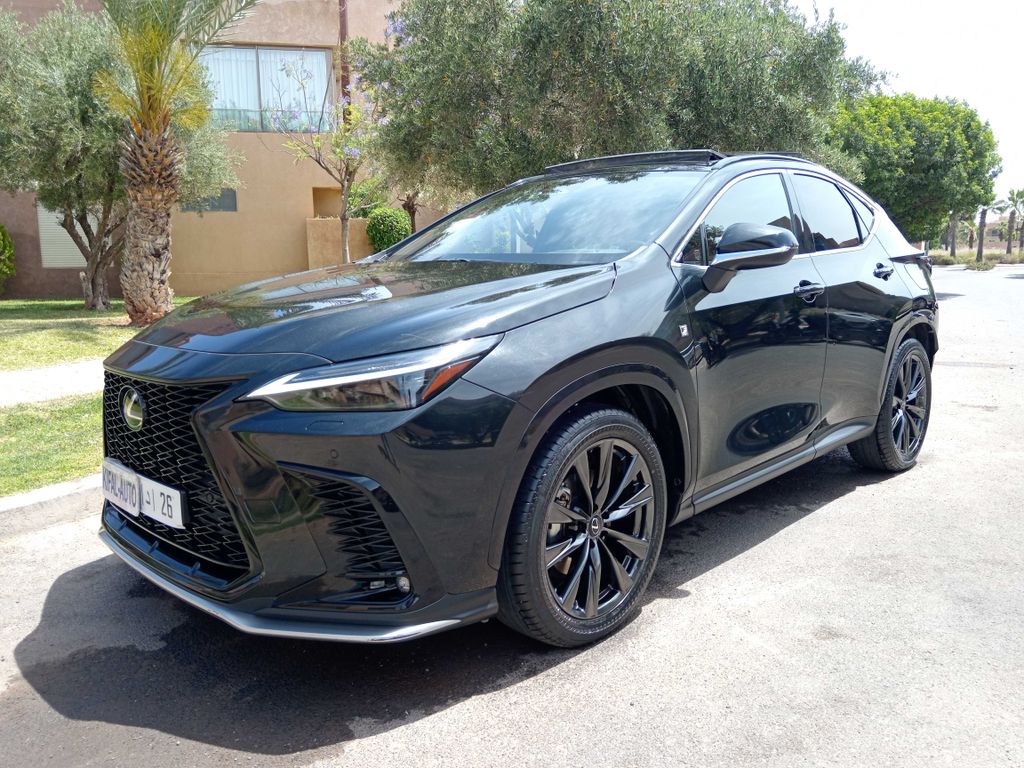 LEXUS NX
