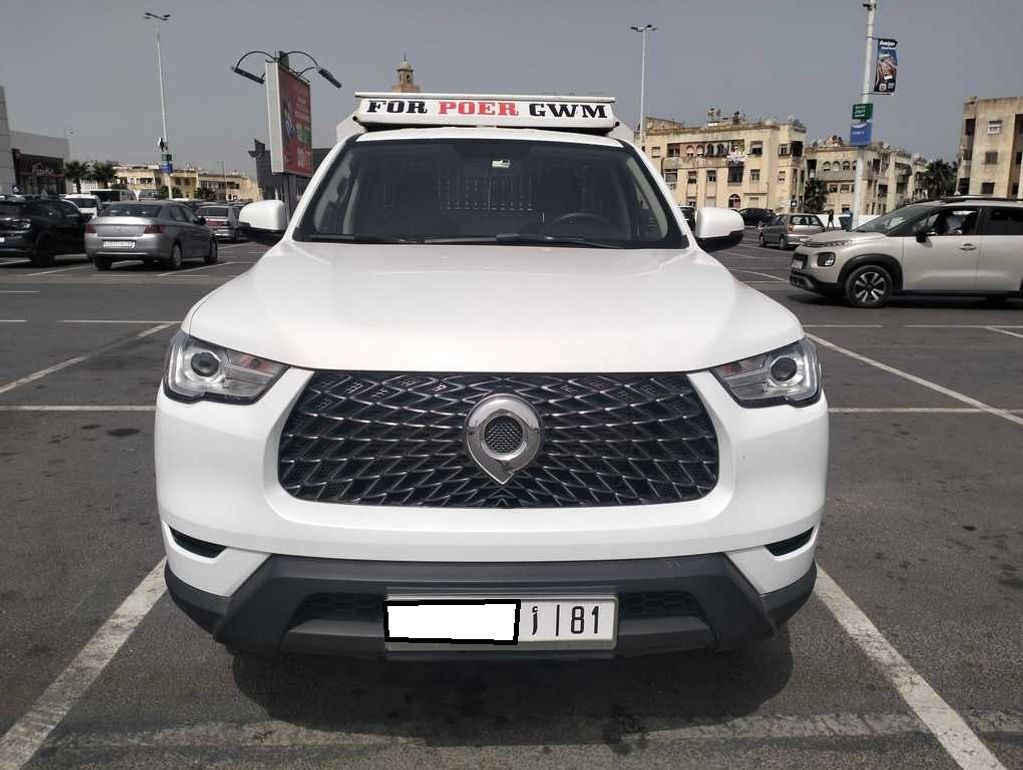 GWM POER DC 2025
